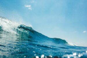 next wave patent dispute
